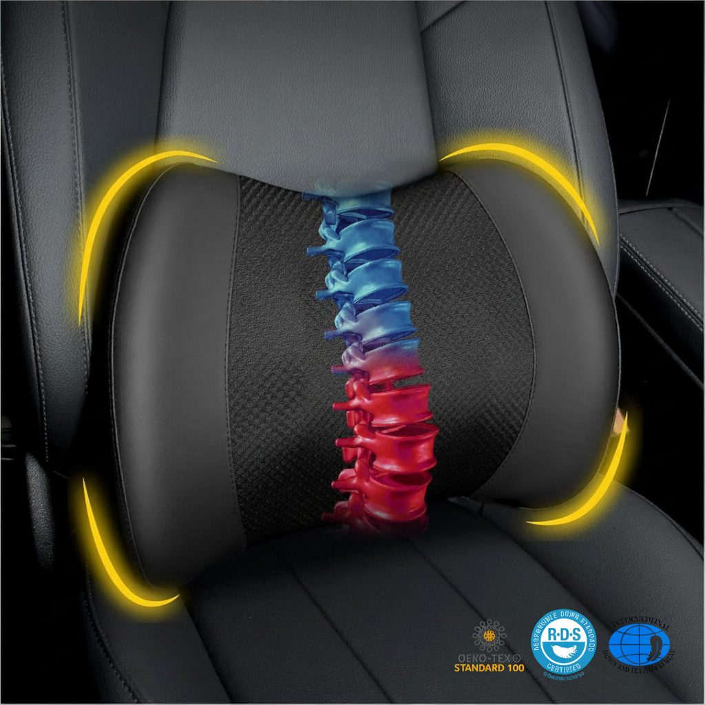 Loft & Aura™ Superior Lumbar Support Cushion